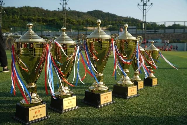 皇马21世纪10大球星：C罗第1 大罗第9